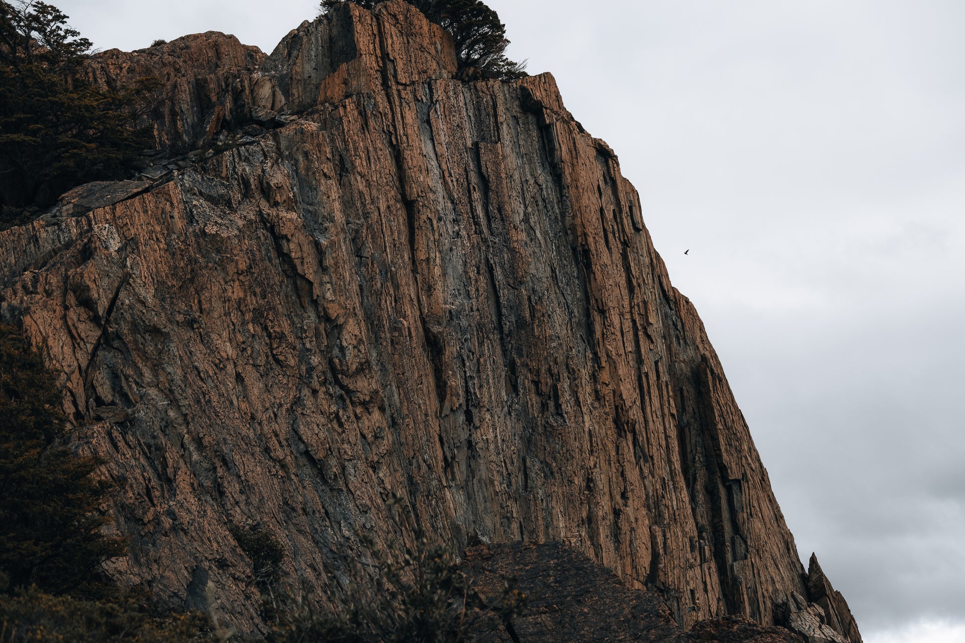 Aros Diaclasas | A PEDIDO