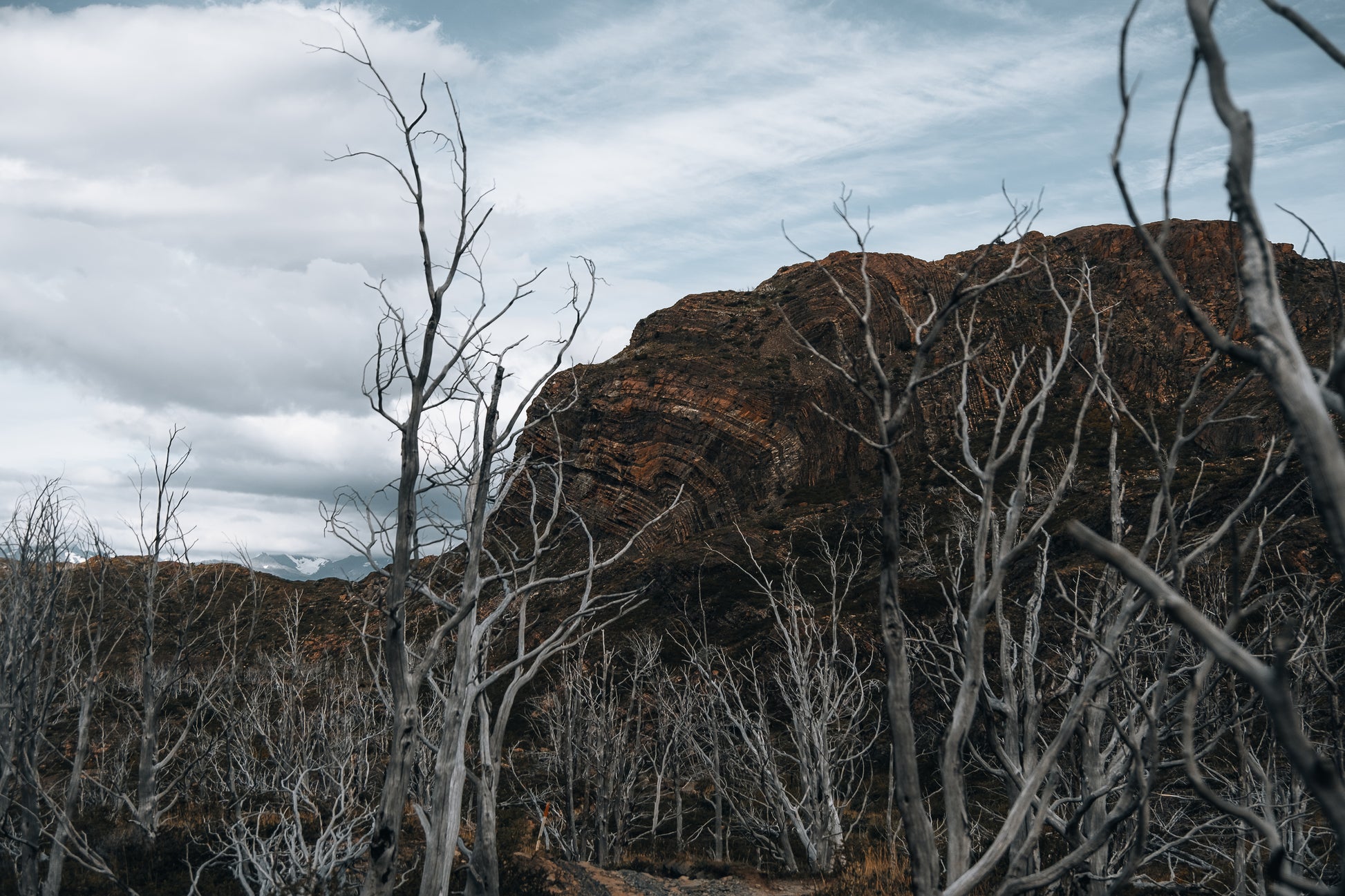 Aros Diaclasas | A PEDIDO