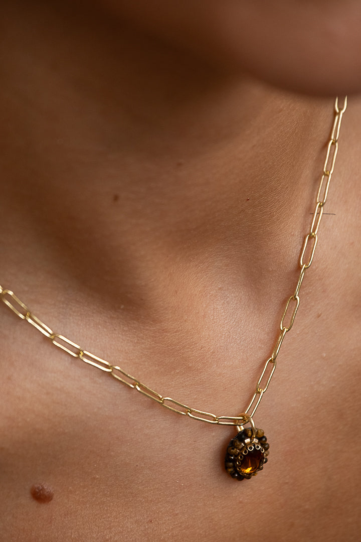 Collar Asplenium