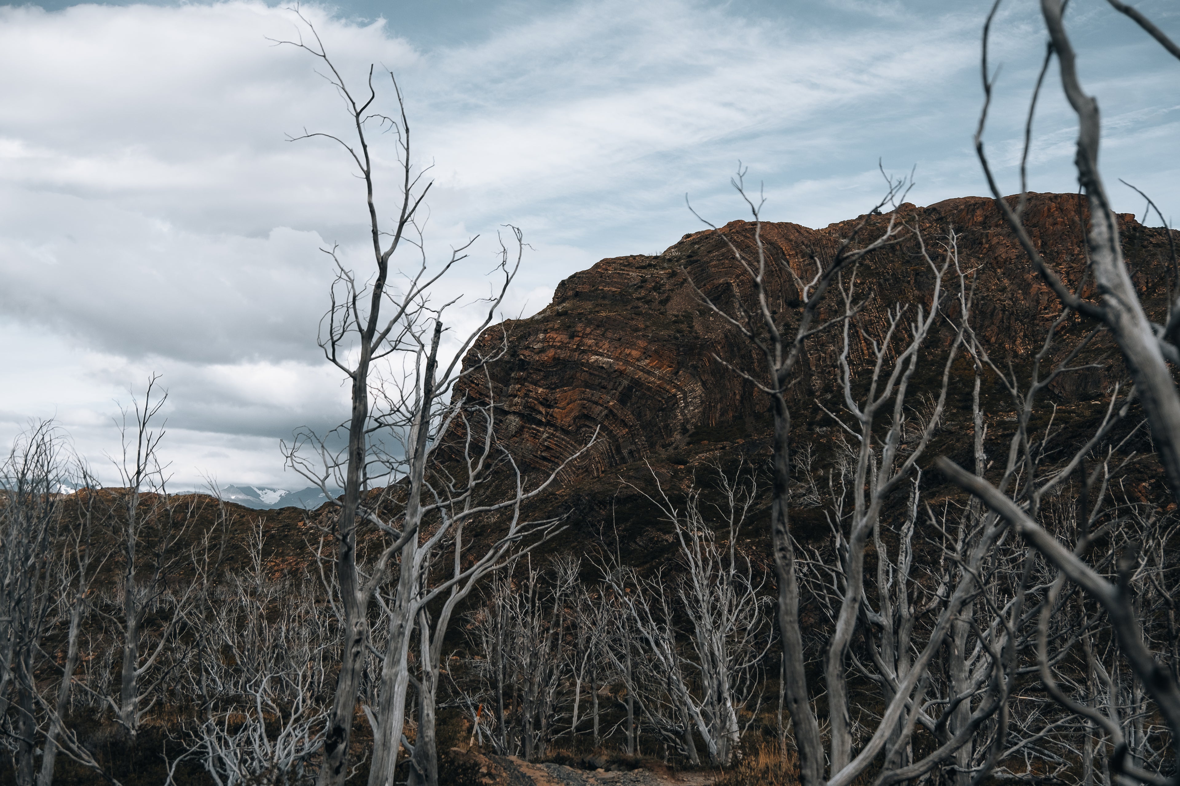 Aros Diaclasas | A PEDIDO