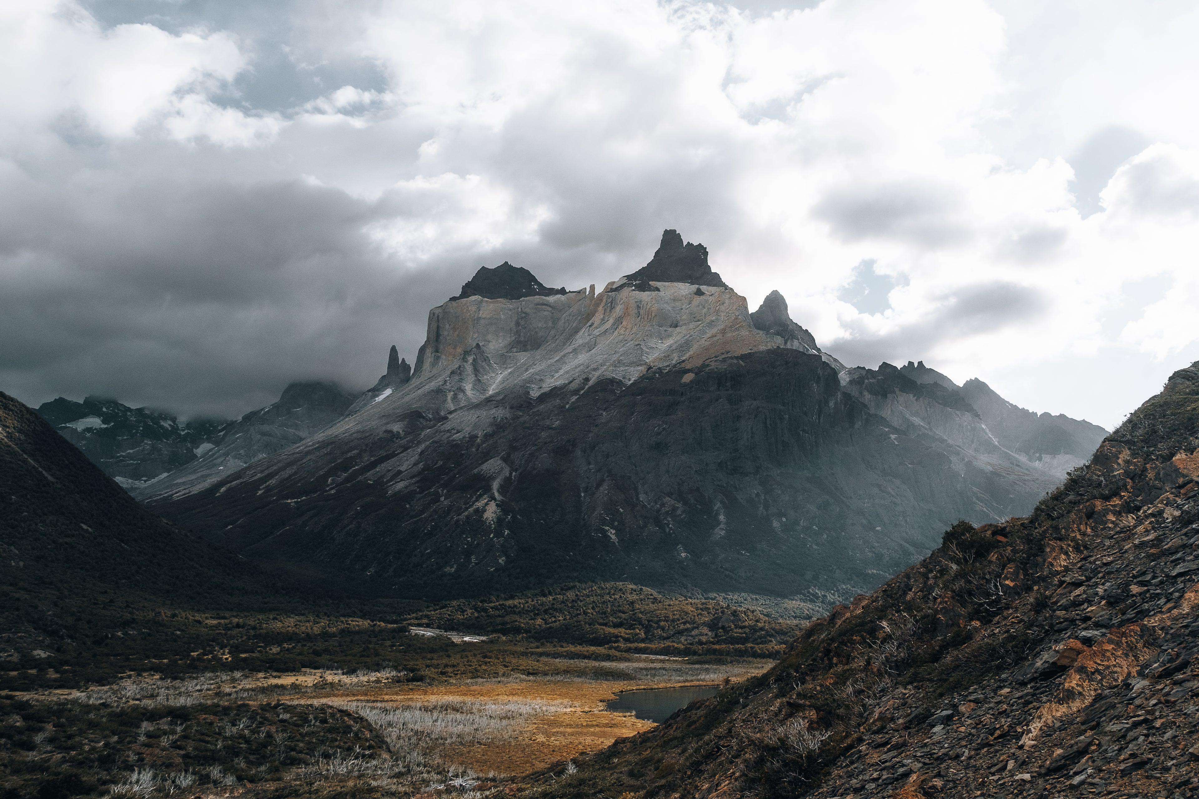 Aros Paine Malva | A PEDIDO