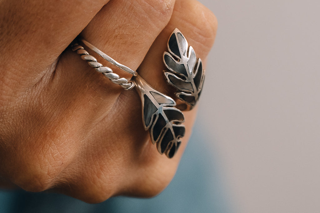 Anillo Demeter