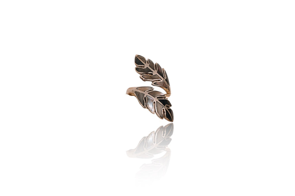 Anillo Demeter