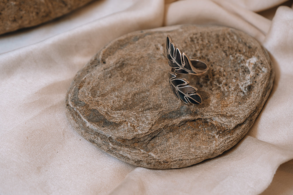 Anillo Demeter