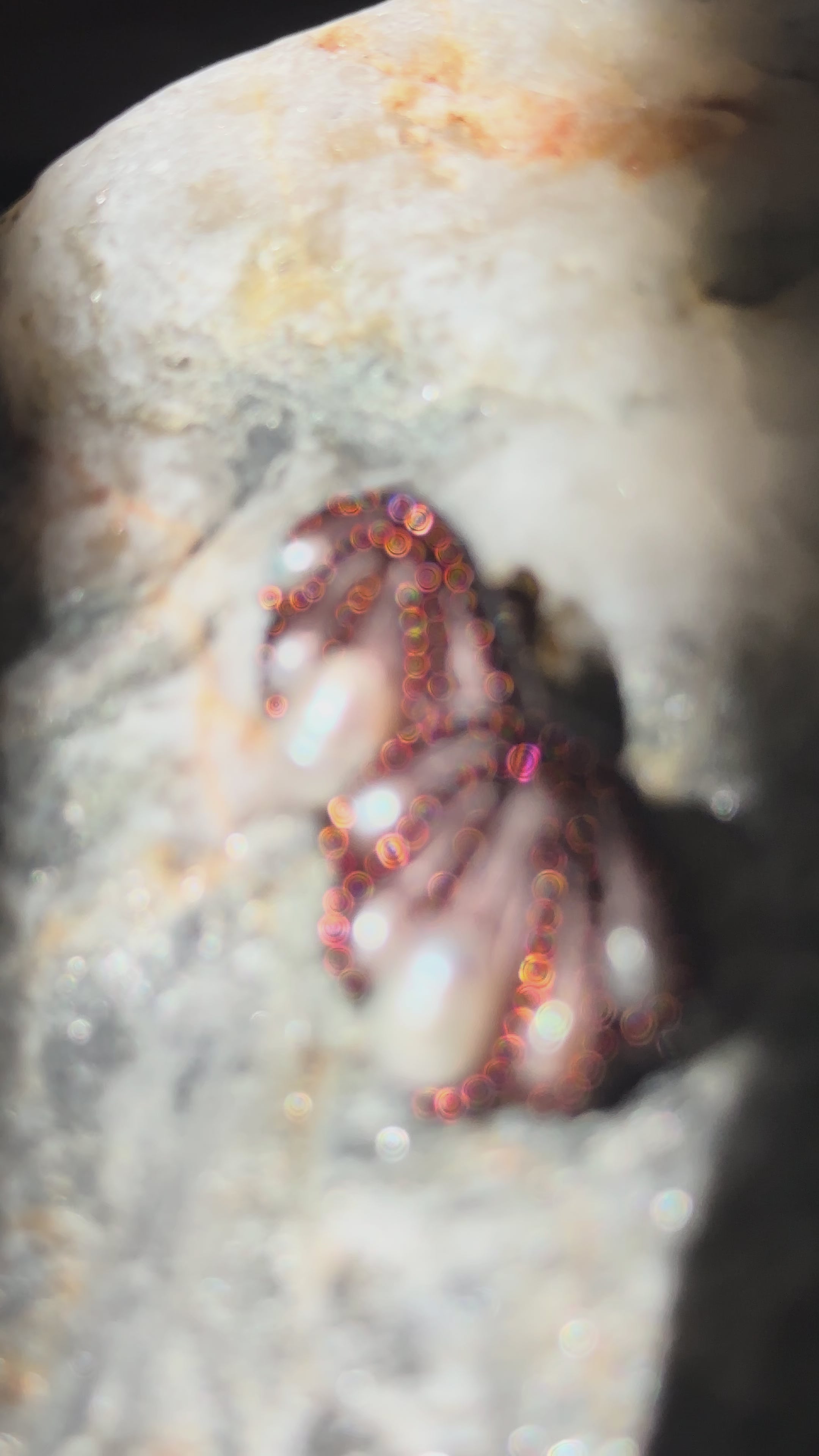 Aros Azmidi